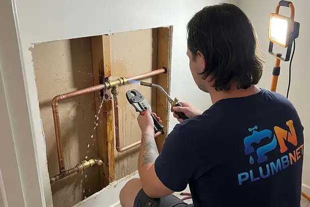 burst leaks pipes